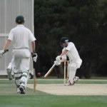 Summer Cricket
